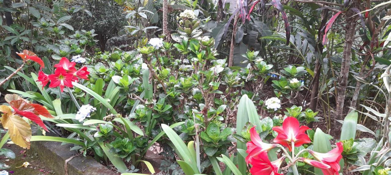 Le Farmhouse Munnar Anachal Exterior foto