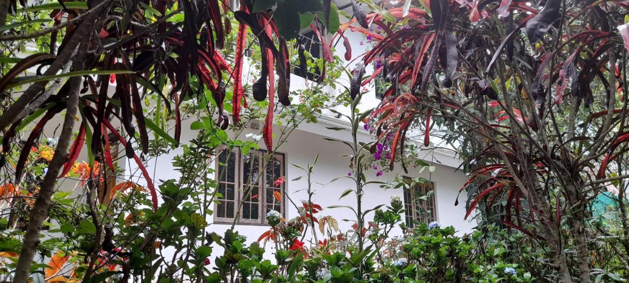 Le Farmhouse Munnar Anachal Exterior foto